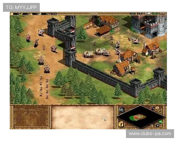 单机游戏存储数据的常见方式及其对游戏体验的影响分析